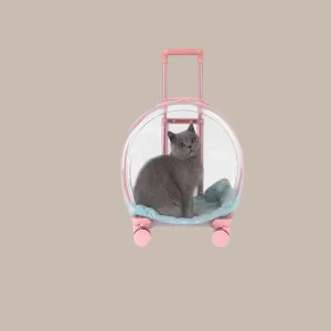Pet Hand Carry Luggage