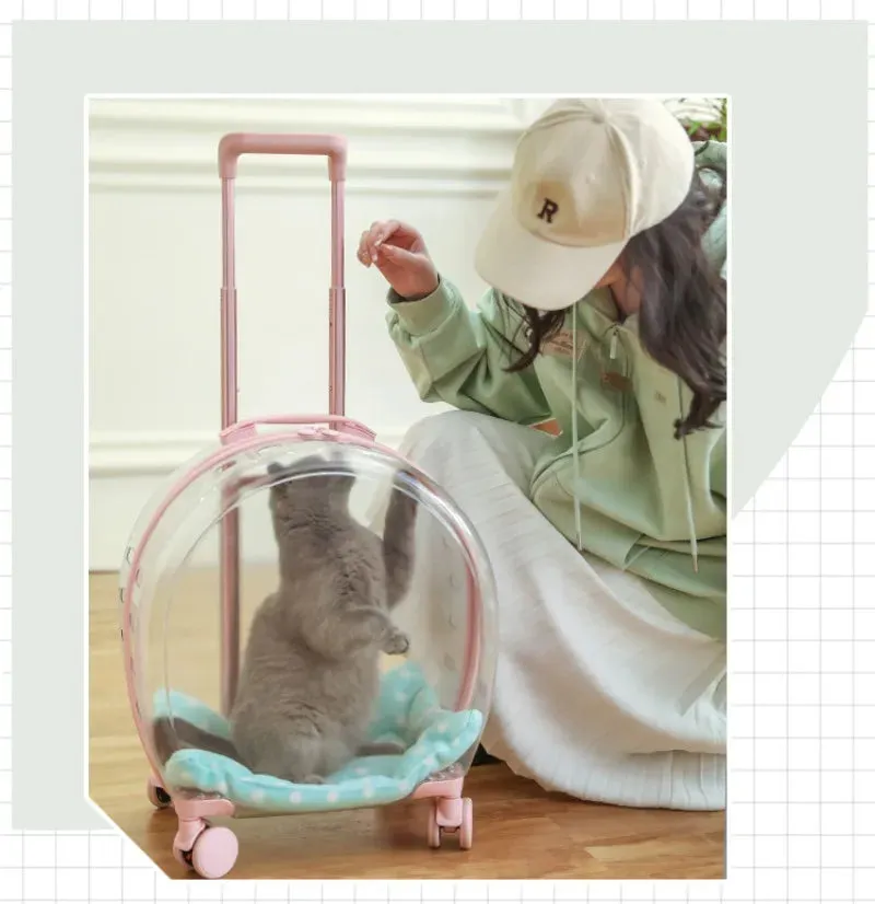 Pet Hand Carry Luggage