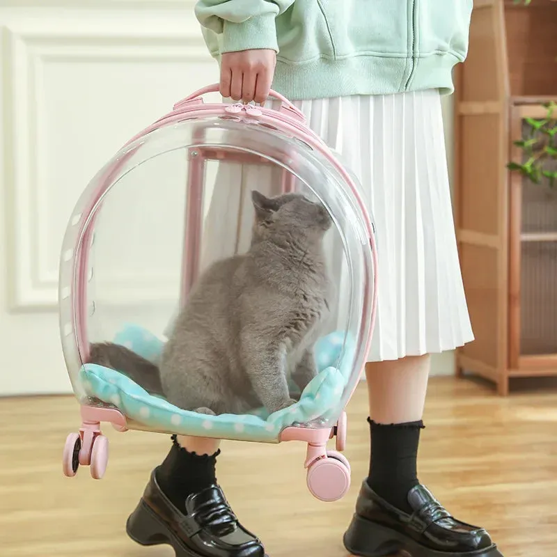 Pet Hand Carry Luggage