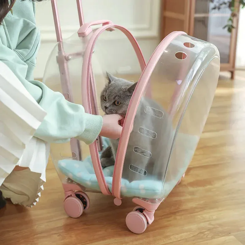 Pet Hand Carry Luggage