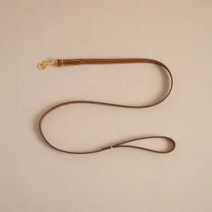 Pet Leash 15 in Luggage