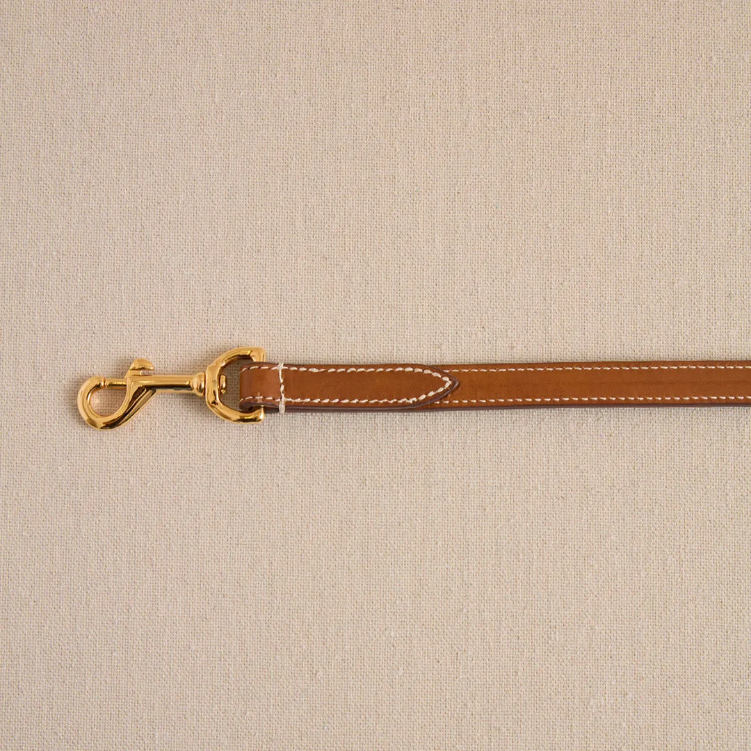 Pet Leash 15 in Luggage