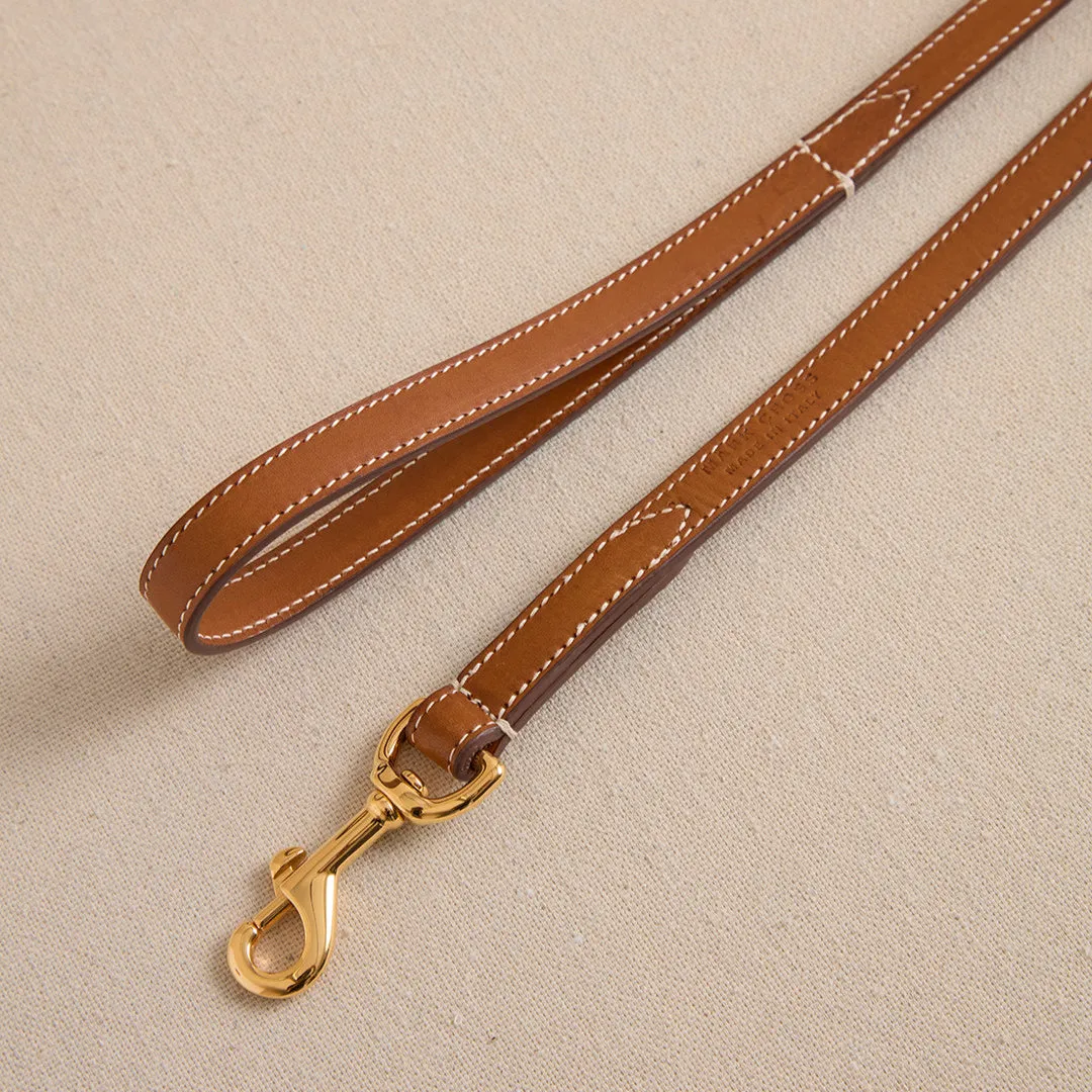 Pet Leash 15 in Luggage