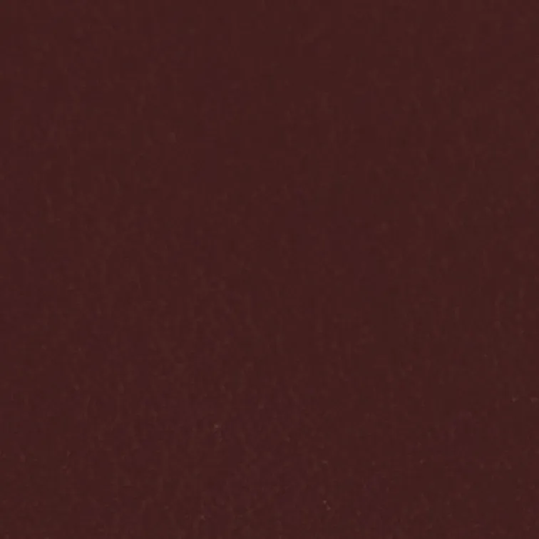 Valet Tray 29 in Luggage and Oxblood